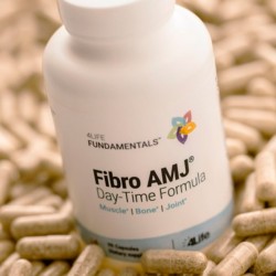 4Life Fundamentals Fibro AMJ Day 90 capsules