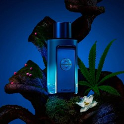 Antonio Banderas The Icon Supreme Eau de Parfum Intense