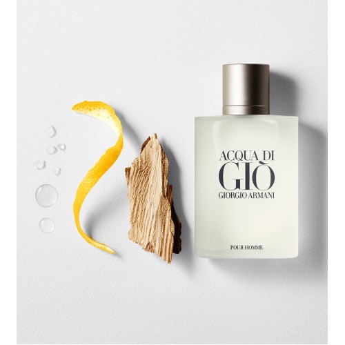 Armani Acqua di Giò Eau de Toilette Refill 100ml