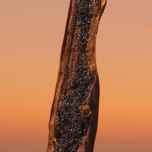 Calvin Klein Eternity Men Parfum 50ml