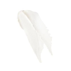 Caudalie Vinotherapist Lip Care 4.5g