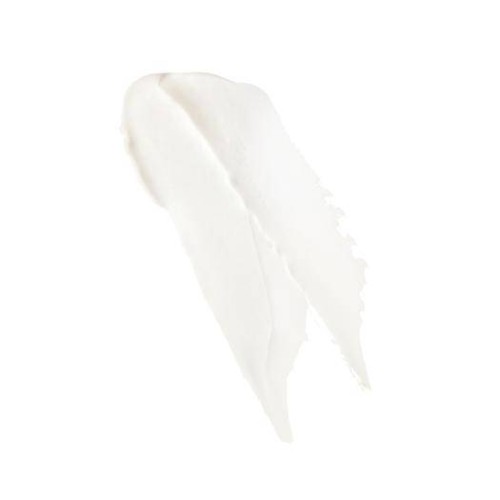 Caudalie Vinotherapist Lip Care 4.5g