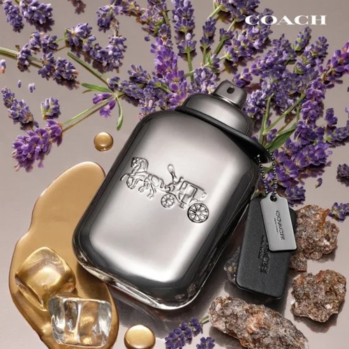Coach Men Pure Platinum Parfum 60ml