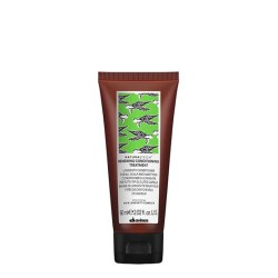 Davines Naturaltech Renewing Conditioning Treatment 60ml