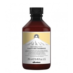 Davines Naturaltech Purifying Shampoo 250ml