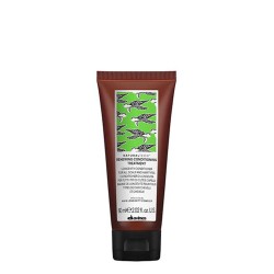 Davines Naturaltech Renewing Conditioning Treatment 60ml