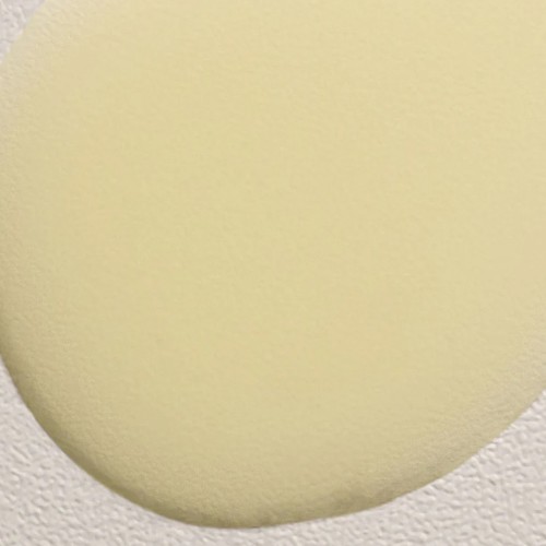 Davines Dede Leave-In Conditioner Delicate Daily Care 250ml