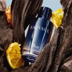 Dior Sauvage Eau de Toilette 100ml