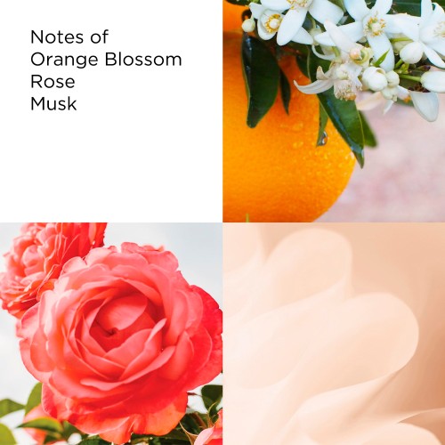 Elizabeth Arden White Tea Eau de Toilette