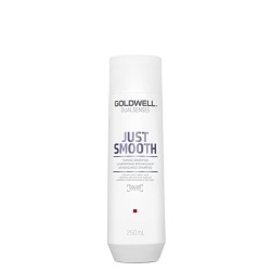 Goldwell DualSenses Just Smooth Shampoo 250ml