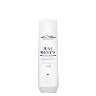 Goldwell DualSenses Just Smooth Shampoo 250ml