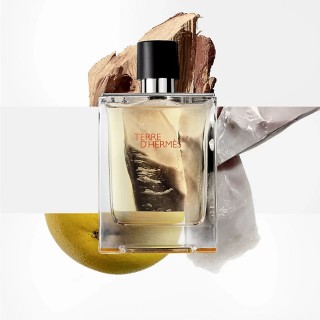 Hermès Terre d'Hermès Eau de Toilette 100ml