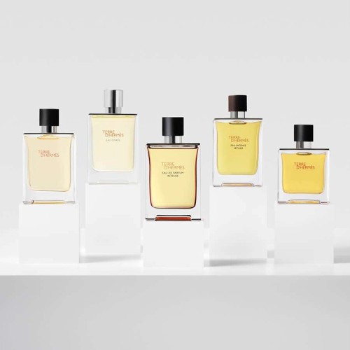 Hermès Terre d'Hermès Eau de Toilette 100ml