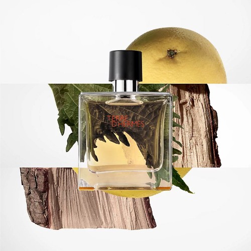 Hermès Terre d'Hermès Refillable Perfume 30ml + Refill 125ml