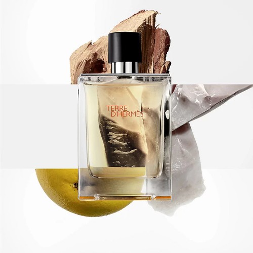 Hermès Terre d'Hermès Eau de Toilette 200ml