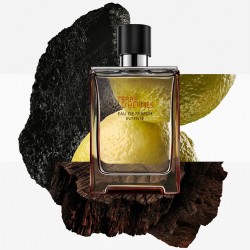 Hermès Terre D'Hermès Intense Eau de Parfum Refillable 100ml