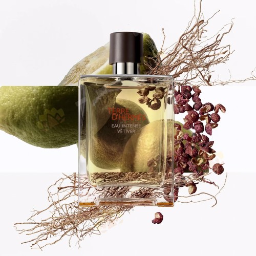 Hermès Terre d'Hermès Eau Intense Vetiver Eau de Parfum 100ml