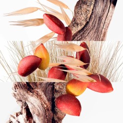Hermès Un Jardin à Cythère Eau de Toilette Refillable 100ml