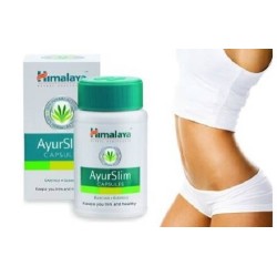 AyurSlim 60 capsules