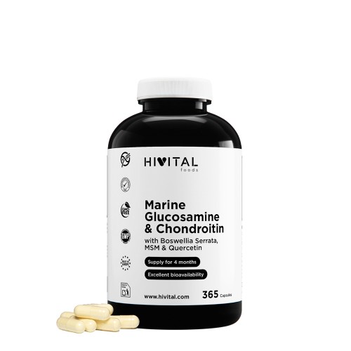 Hivital Marine Glucosamine & Chondroitin 365 capsules