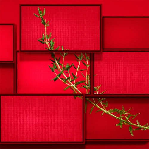 Hugo Boss Hugo Intense Eau de Parfum Intense 75ml