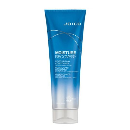 Joico Moisture Recovery Dry Hair Conditioner 250ml