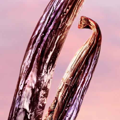 Lancôme La Vie est Belle Vanille Nude Eau de Parfum 50ml