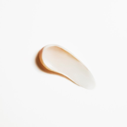 L'Oréal Age Perfect Day Cream 50ml