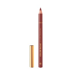 L'Oréal Paris Color Riche Lip Liner 570 Worth It Intense