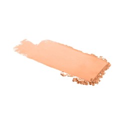 Maybelline Fit Me Matte Compact Powder + Poreless 220 9g