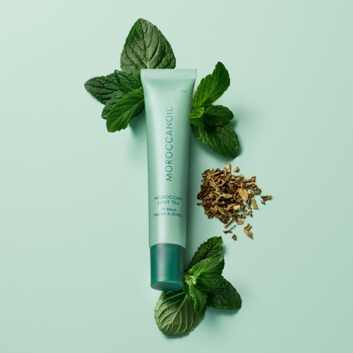 Moroccanoil Lip Balm Mint Tea 15g