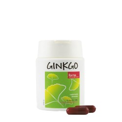 Ginkgo Forte 30 capsules
