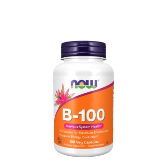 Now Vitamin B-100 100 Capsules