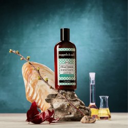 Nuggela & Sulé Premium Nº2 Dry Hair Shampoo 250ml