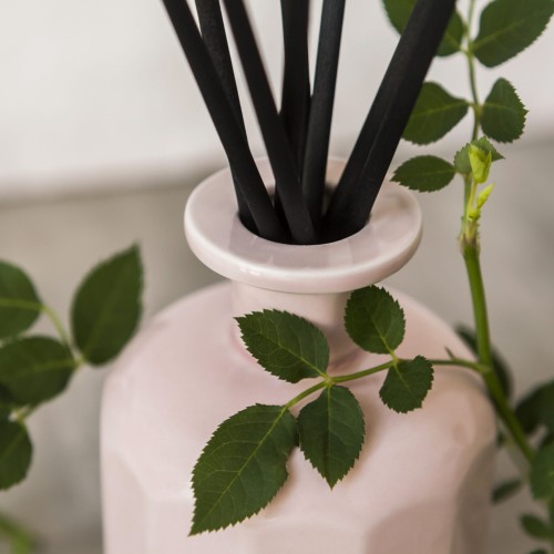 Portus Cale Diffuser Rosé Blush 250ml