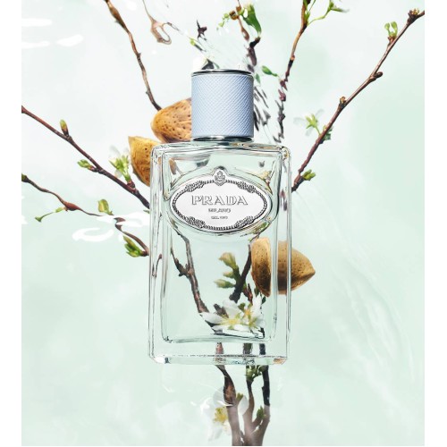 Prada Les Infusions Cedre Eau de Parfum 100ml