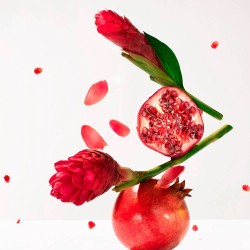 Roger & Gallet Gingembre Rouge Gel Douche 200ml