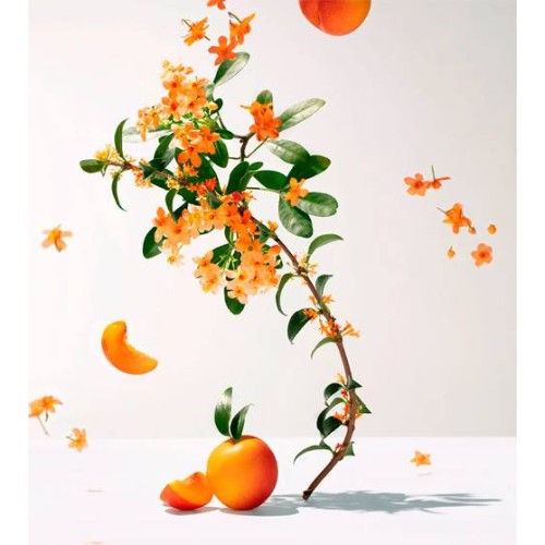 Roger & Gallet Fleur d'Osmanthus Eau de Toilette 100ml