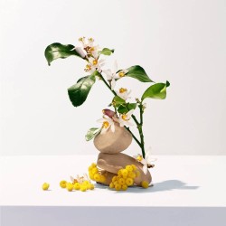 Roger & Gallet Néroli Hand Cream 30ml