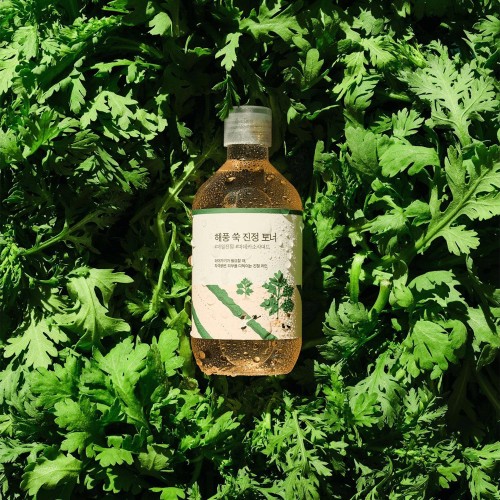Round Lab Mugwort Tonic 300ml