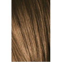 Schwarzkopf Igora Royal 7-00 Extra Natural Medium Laurel 60ml + Oxidant 20V