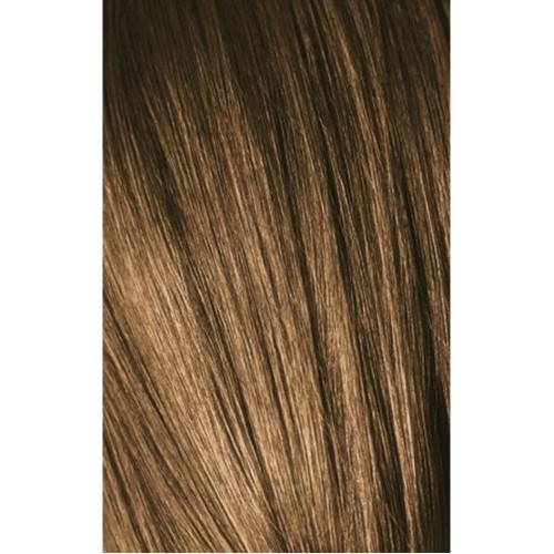 Schwarzkopf Igora Royal 7-00 Extra Natural Medium Laurel 60ml + Oxidant 20V