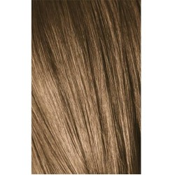 Schwarzkopf Igora Royal 8-00 Natural Light Laurel Extra 60ml + Oxidant 20V Schwarzkopf Igora Royal 8-00 Natural Light Laurel Extra 60ml + Oxidant 20V