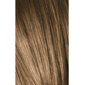 Schwarzkopf Igora Royal 8-00 Natural Light Laurel Extra 60ml + Oxidant 20V