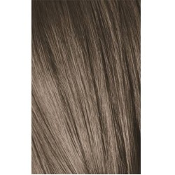 Schwarzkopf Igora Royal 8-1 Light Laurel Grey 60ml + Oxidant 20V Schwarzkopf Igora Royal 8-1 Light Laurel Grey 60ml + Oxidant 20V