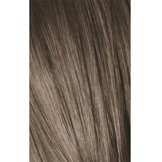 Schwarzkopf Igora Royal 8-1 Light Laurel Grey 60ml + Oxidant 20V