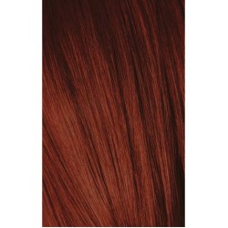 Schwarzkopf Igora Royal 6-88 Extra Red Dark Laurel 60ml + Oxidant 20V
