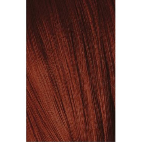 Schwarzkopf Igora Royal 6-88 Extra Red Dark Laurel 60ml + Oxidant 20V