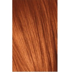 Schwarzkopf Igora Royal 8-77 Light Laurel Extra Copper 60ml + Oxidant 20V Schwarzkopf Igora Royal 8-77 Light Laurel Extra Copper 60ml + Oxidant 20V