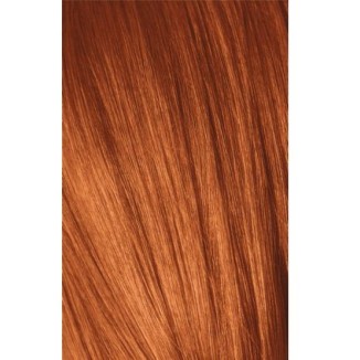 Schwarzkopf Igora Royal 8-77 Light Laurel Extra Copper 60ml + Oxidant 20V